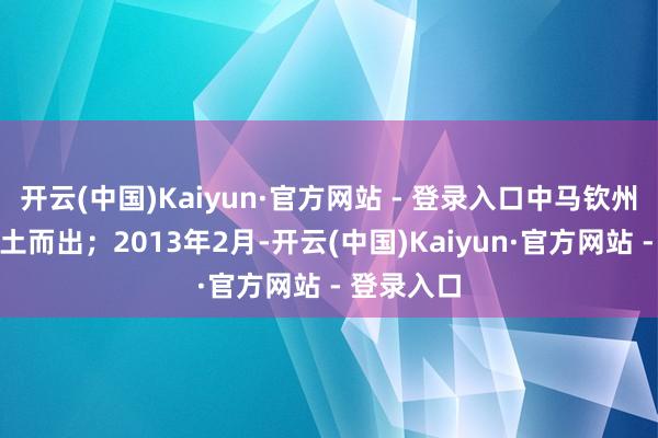 开云(中国)Kaiyun·官方网站 - 登录入口中马钦州产业园破土而出；2013年2月-开云(中国)Kaiyun·官方网站 - 登录入口