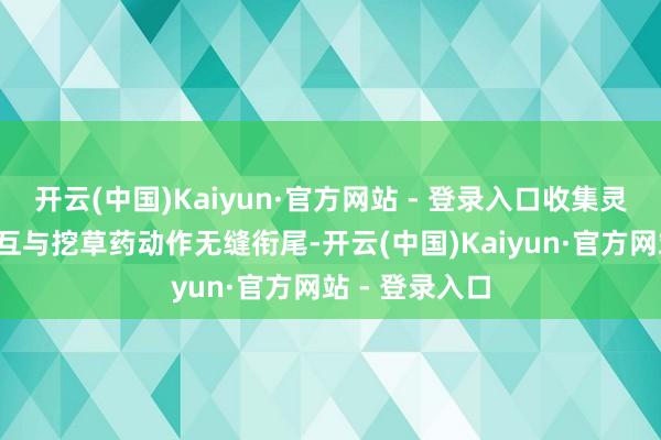 开云(中国)Kaiyun·官方网站 - 登录入口收集灵感时的F键交互与挖草药动作无缝衔尾-开云(中国)Kaiyun·官方网站 - 登录入口