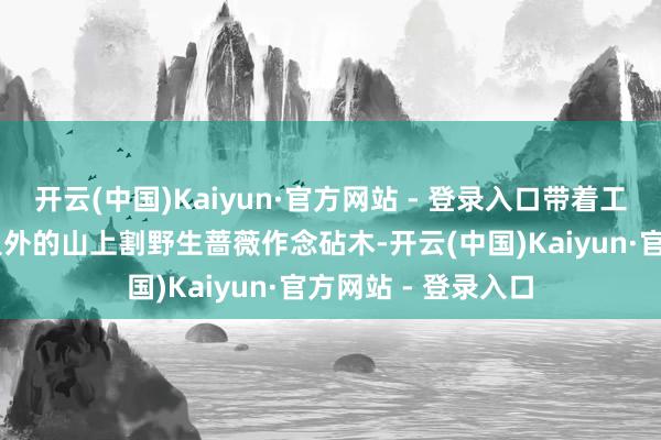 开云(中国)Kaiyun·官方网站 - 登录入口带着工东谈主跑到50公里外的山上割野生蔷薇作念砧木-开云(中国)Kaiyun·官方网站 - 登录入口