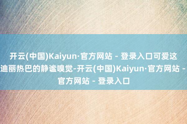 开云(中国)Kaiyun·官方网站 - 登录入口可爱这么的妆造迪丽热巴的静谧嗅觉-开云(中国)Kaiyun·官方网站 - 登录入口