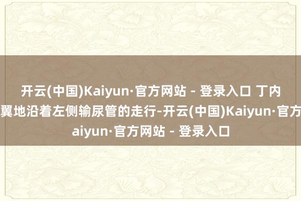 开云(中国)Kaiyun·官方网站 - 登录入口 丁内贝格教育注重翼翼地沿着左侧输尿管的走行-开云(中国)Kaiyun·官方网站 - 登录入口