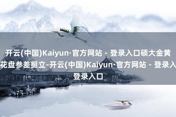 开云(中国)Kaiyun·官方网站 - 登录入口硕大金黄的花盘参差挺立-开云(中国)Kaiyun·官方网站 - 登录入口